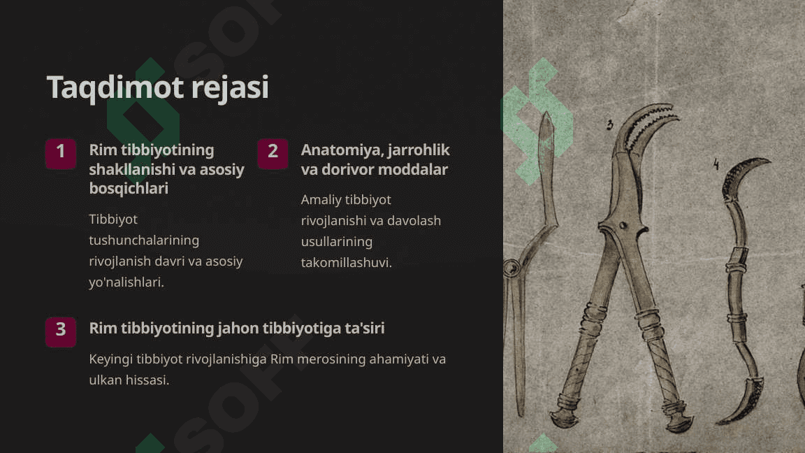 Qadimgi Rim tibbiyoti tarixi 2