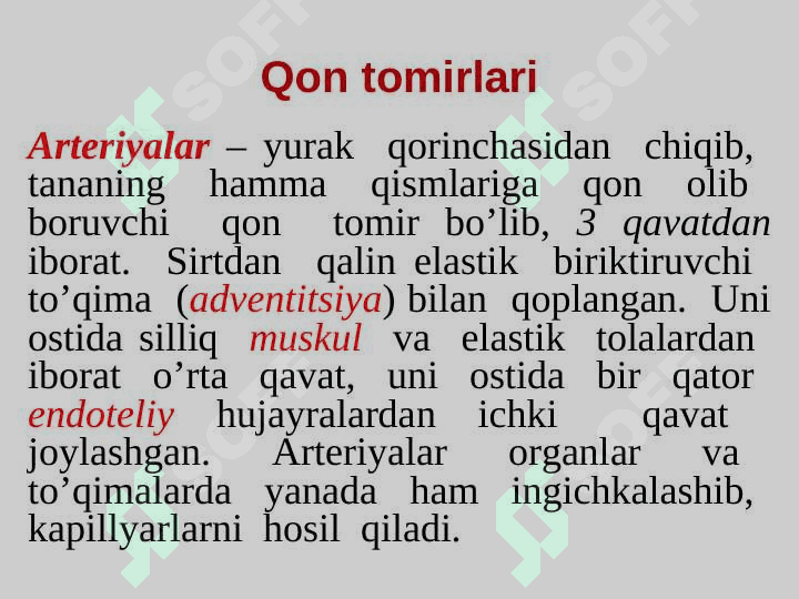 mavzu: YURAK QON- TOMIR TIZIMI slayd 8