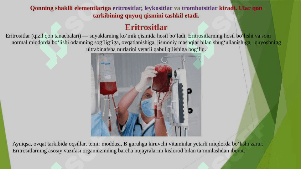 Qonning Shaklli elementlari mavzusidan tayyorlagan 2