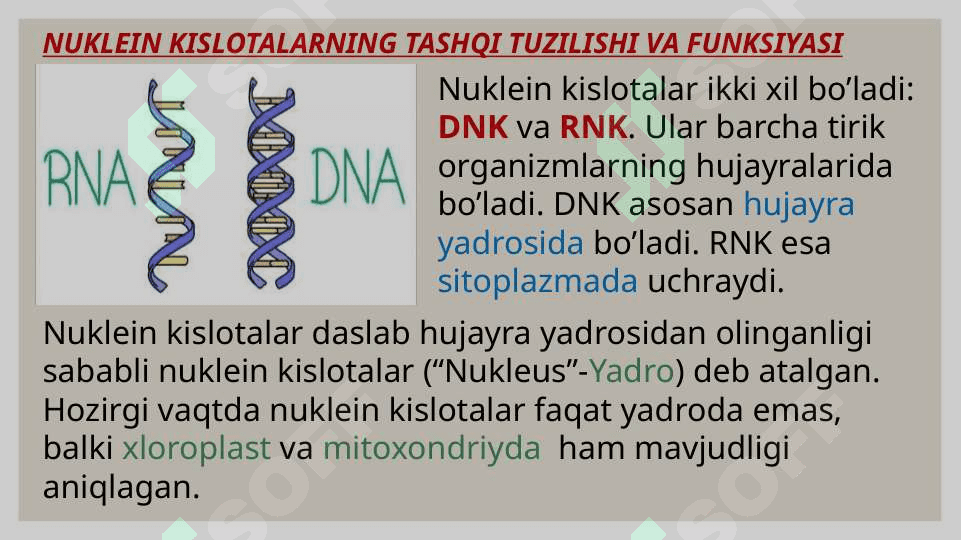 NUKLEIN      KISLOTALAR 6