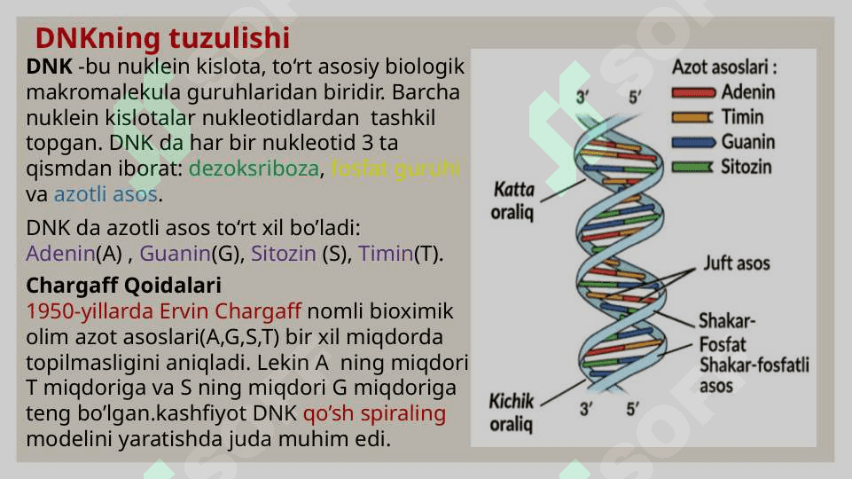NUKLEIN      KISLOTALAR 7