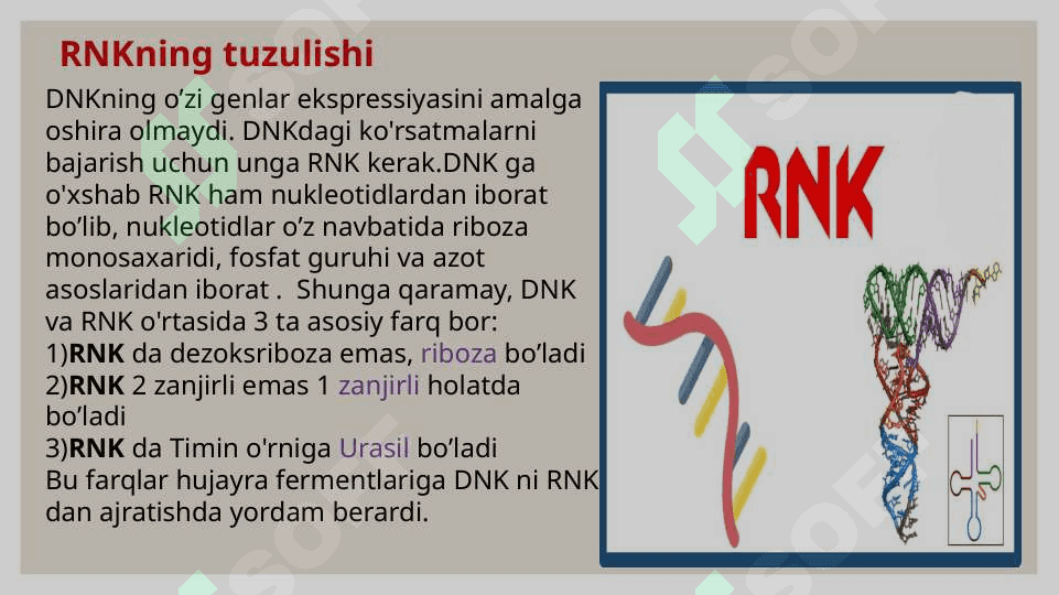 NUKLEIN      KISLOTALAR 8