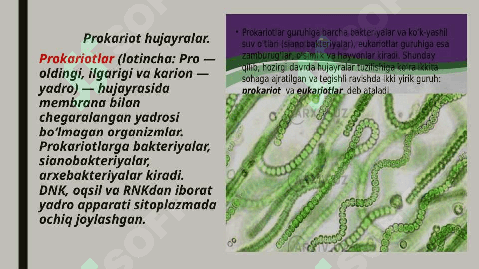 Prokariot va eukariot hujayralarning farqi. 3