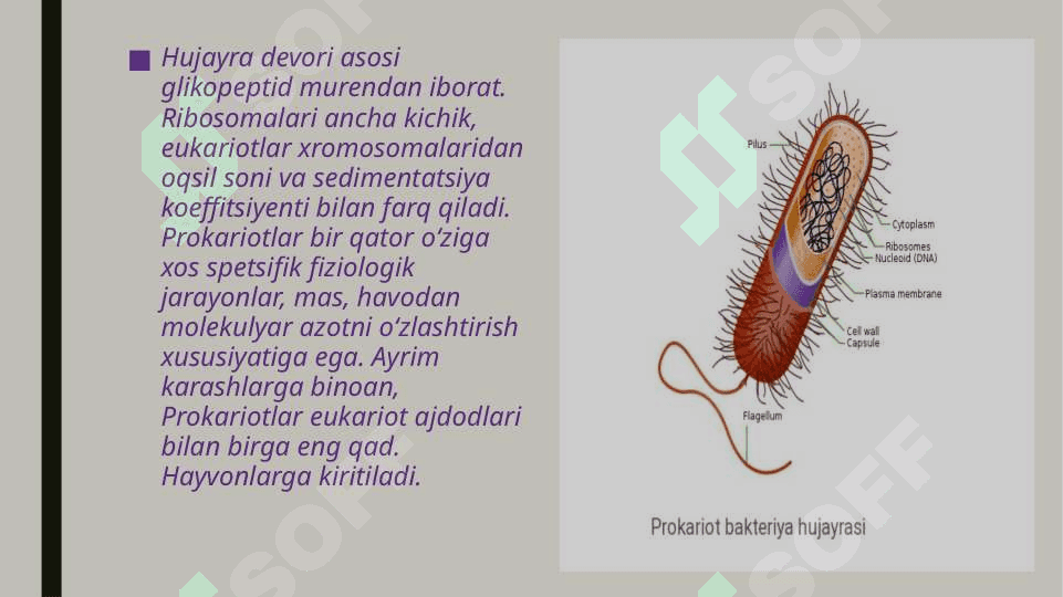 Prokariot va eukariot hujayralarning farqi. 4