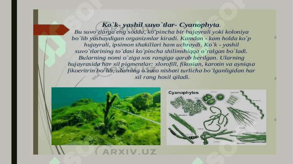 Prokariot va eukariot hujayralarning farqi. 8