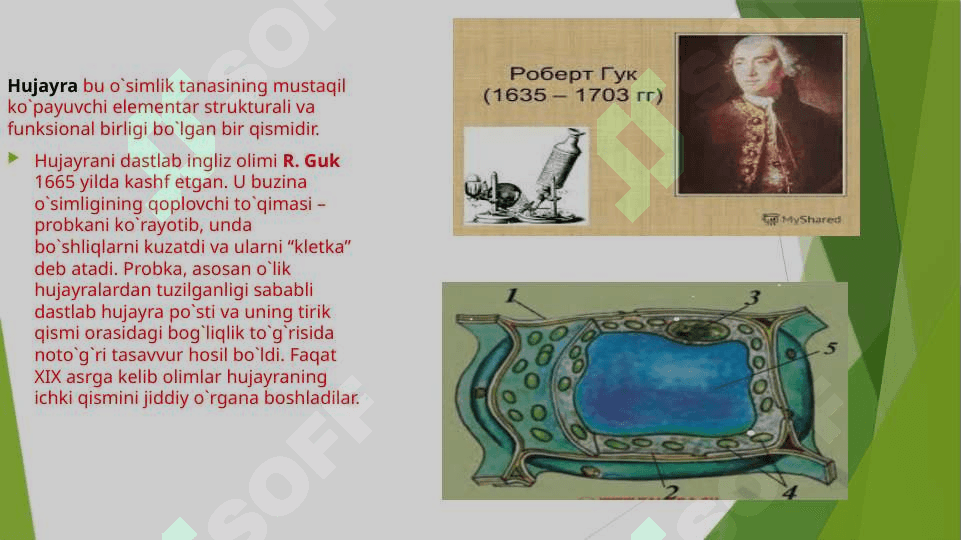 O’simliklarning hosildorligini oshirishda biotexnalogiyaning ahamiyati. 3