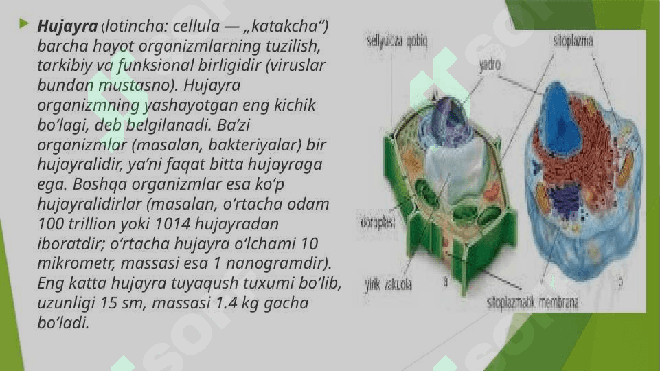 O’simliklarning hosildorligini oshirishda biotexnalogiyaning ahamiyati. 4
