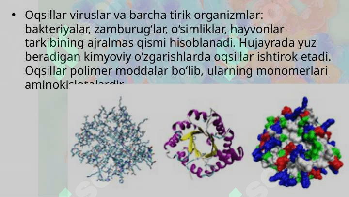 Oqsillar Aminokislotalar. 3
