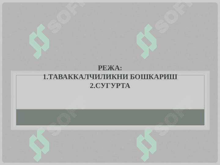 Таваккалчиликни бошкариш ва сугурта 2