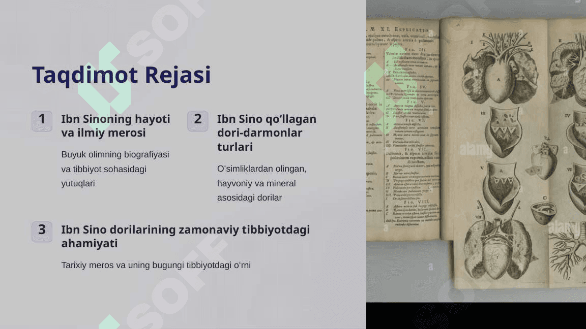 Ibn Sinoning Tibbiy Meros Tarixiy Dori-Darmonlar va Ularning Ahamiyati 2