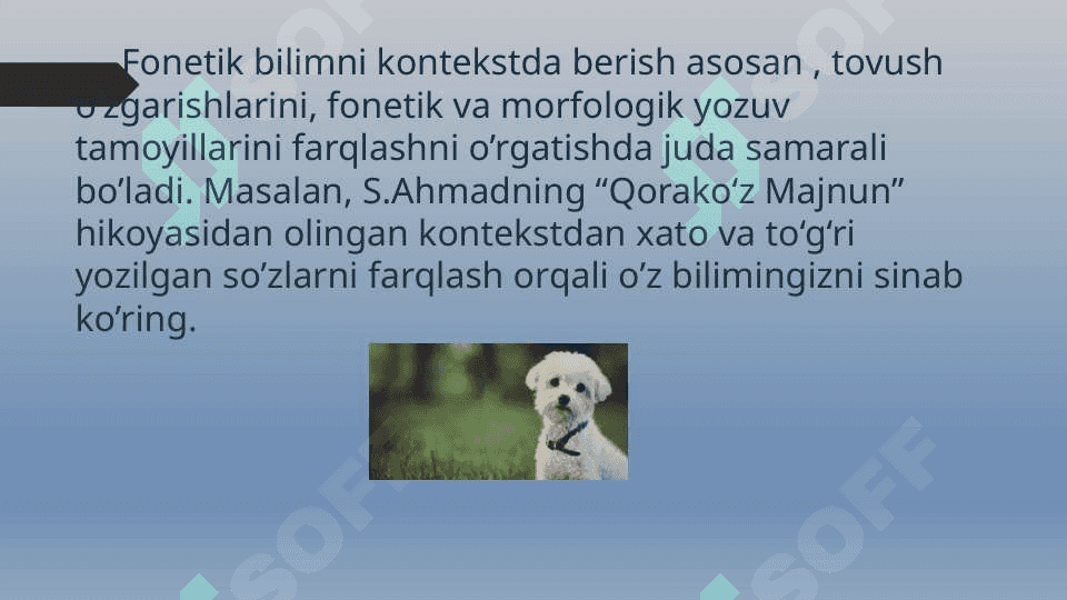 Lingvistik bilimni kontekstda berish 6