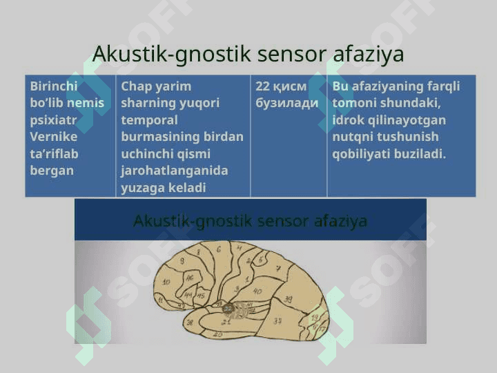 Psixolingvistika. Аfaziya shakllari 7