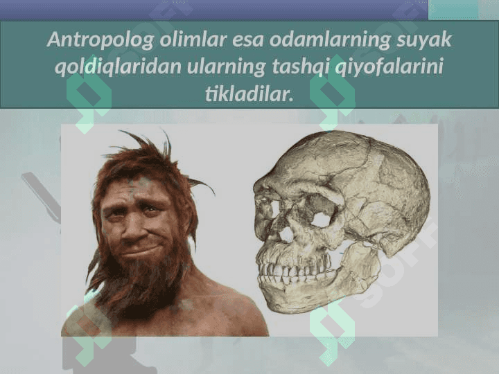 5- mavzu  Eng qadimgi odamlar....5- sinff 4