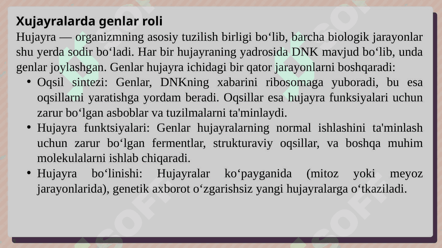 Genlar  ta'sirini  boshqarilishi, xujayra differentsirovkasi 4