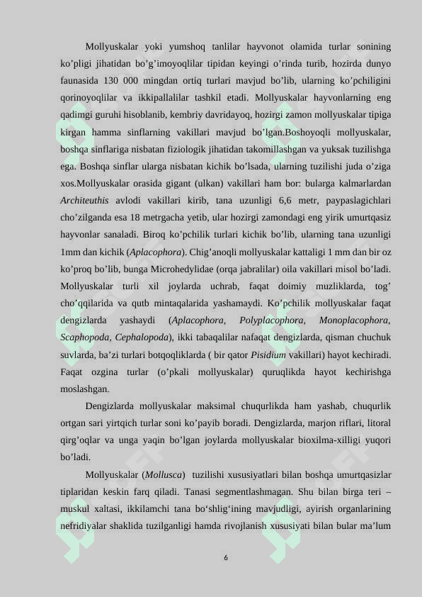 MOLYUSKALAR SISTEMATIKASI FILOGENIYASI EKOLOGIYASI 6