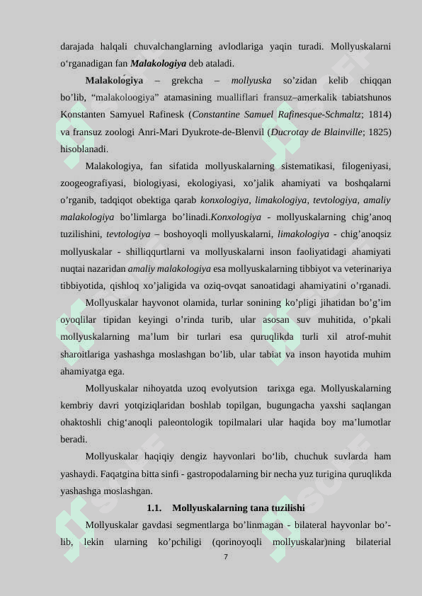 MOLYUSKALAR SISTEMATIKASI FILOGENIYASI EKOLOGIYASI 7