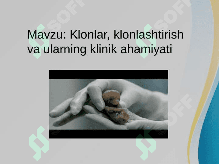 Klonlar, klonlashtirish va ularning klinik ahamiyati 2
