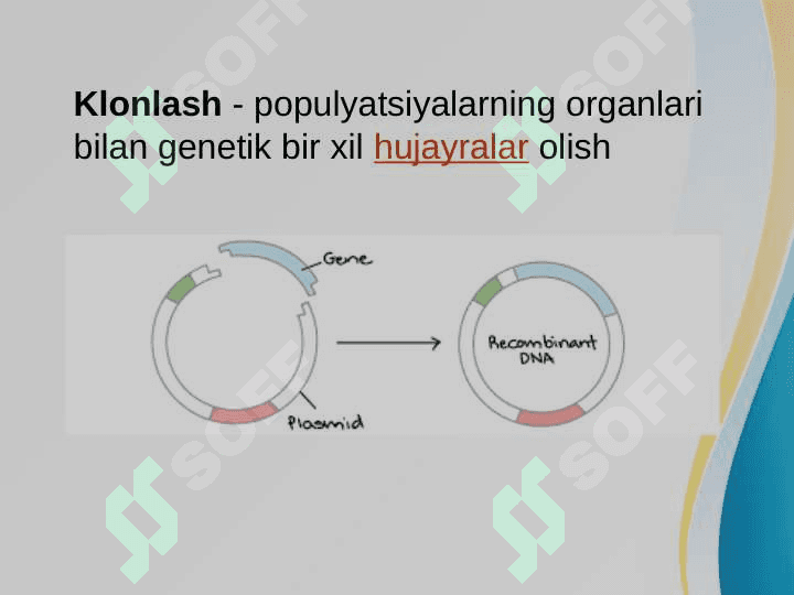Klonlar, klonlashtirish va ularning klinik ahamiyati 3