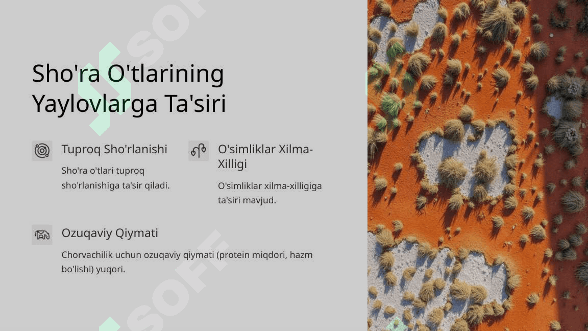 Yaylovlarda uchraydigan bir yillik sho'rao'tlarni o'g'itlash 3
