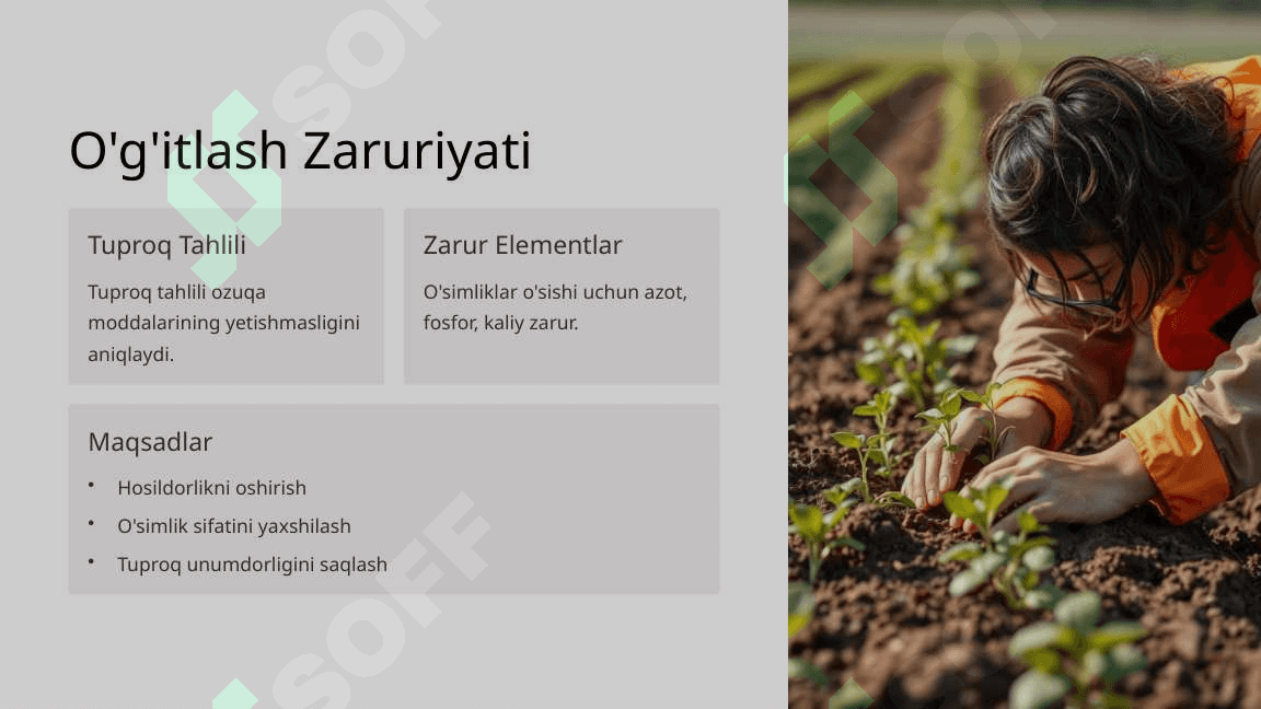 Yaylovlarda uchraydigan bir yillik sho'rao'tlarni o'g'itlash 4