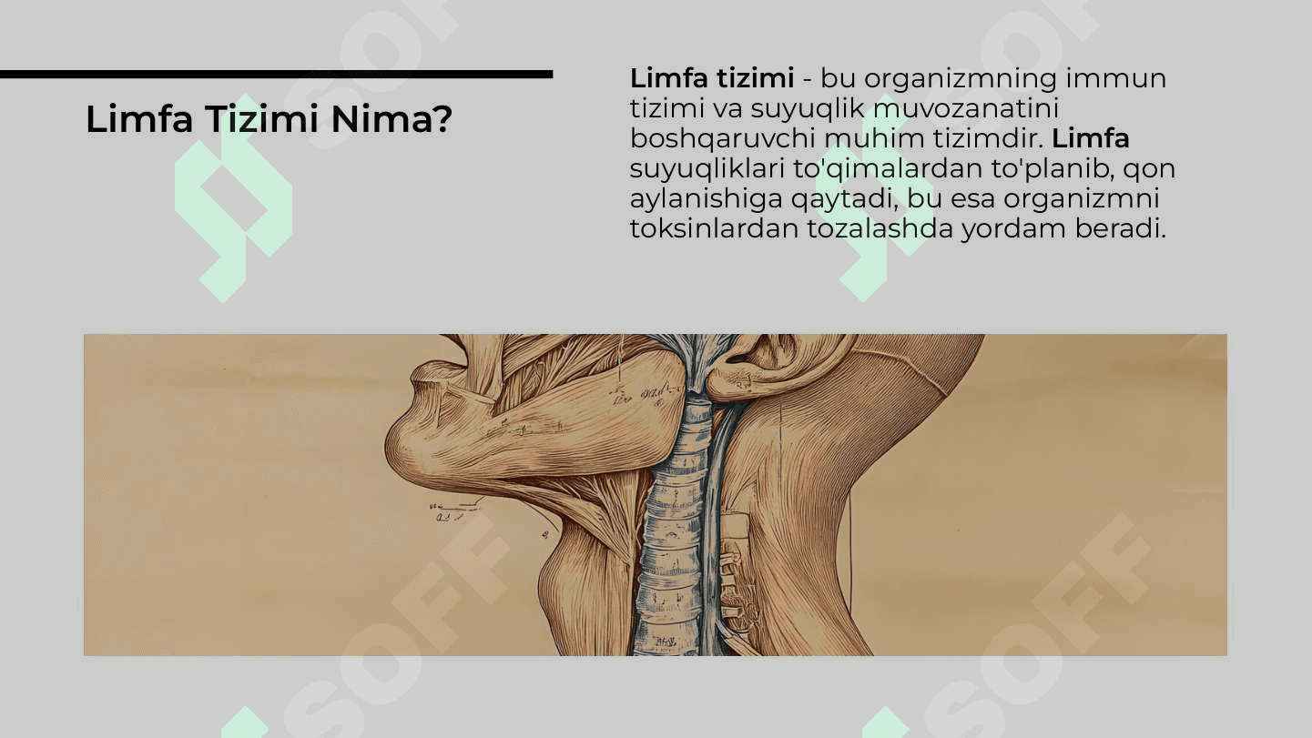 Teri limfa sezgi tizimini baholash 3