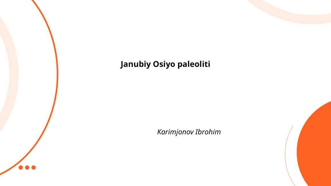 Janubiy Osiyo paleoliti