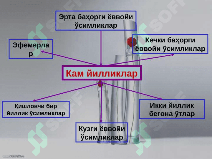мавзу: БЕГОНА ЎТЛАРНИНГ БИОЛОГИК ГУРУҲЛАРИ ВА ҲИСОБГА ОЛИШ УСУЛЛАРИ. 6
