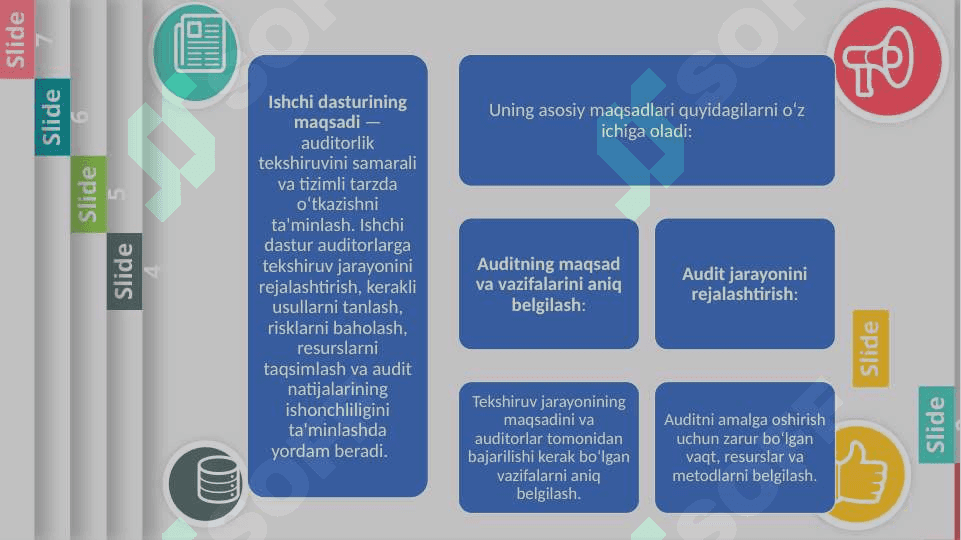 AUDITORLIK TEKSHIRUVI ISHCHI DASTURI 4