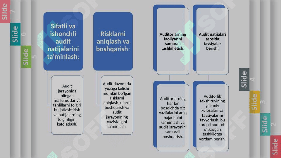 AUDITORLIK TEKSHIRUVI ISHCHI DASTURI 5