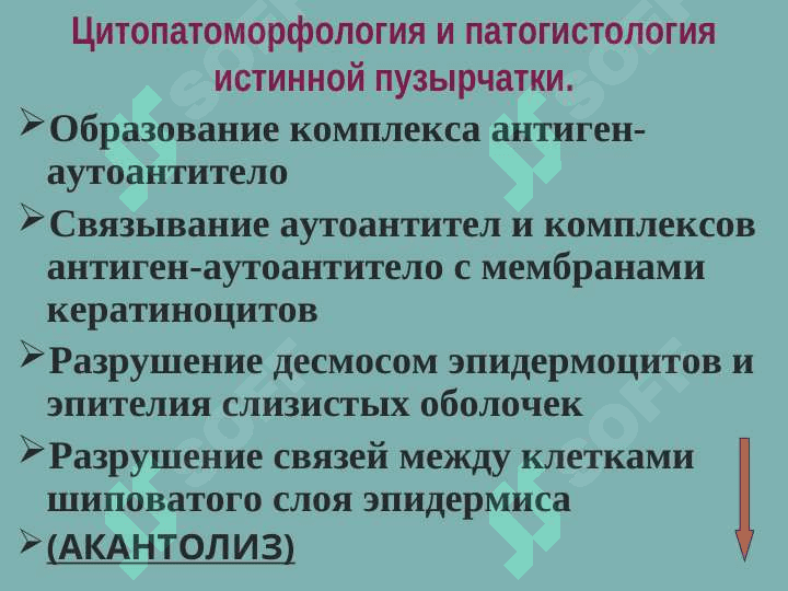 Пузырные дерматозы 7