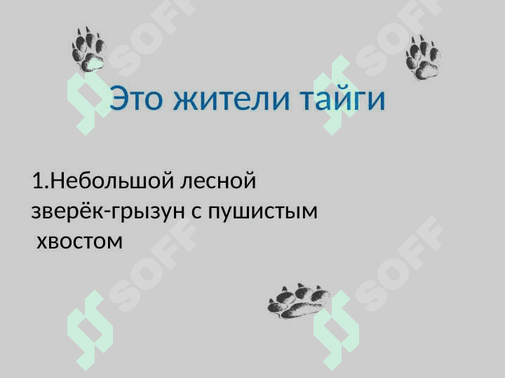 Имя прилагательное 2