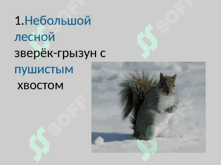 Имя прилагательное 3