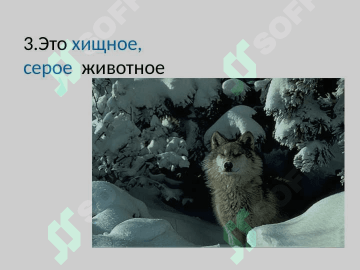 Имя прилагательное 7