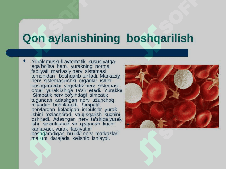 Puls va qon bosimi. Ularning yosh xususiyatlari 2