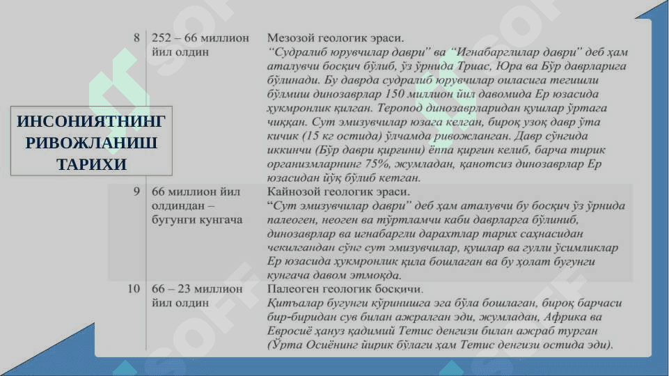 O'zbek davlatchiligining shakllanishi va taraqqiyot bosqichlari 5