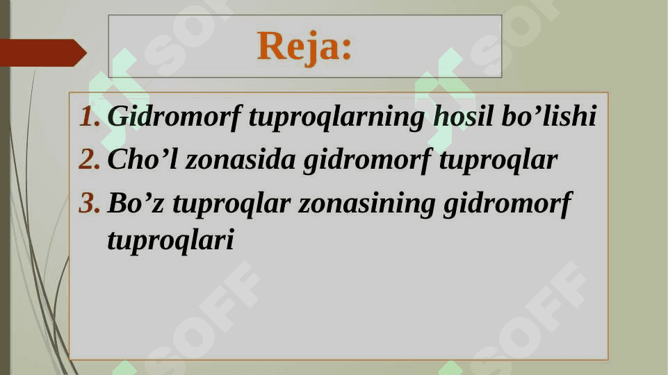Gidromorf o‘tloqi tuproqlar 2