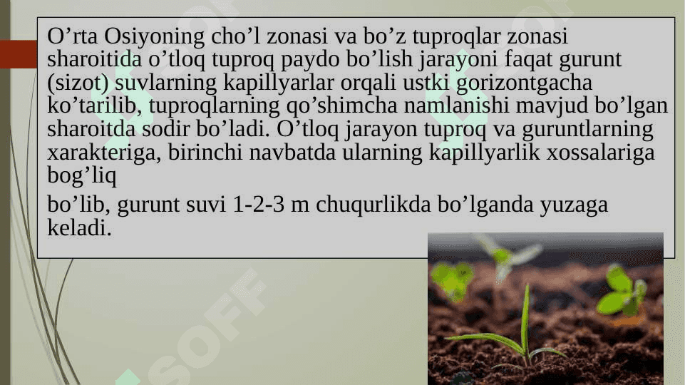Gidromorf o‘tloqi tuproqlar 3