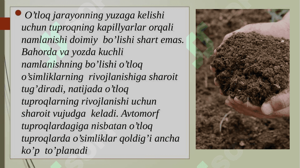 Gidromorf o‘tloqi tuproqlar 4