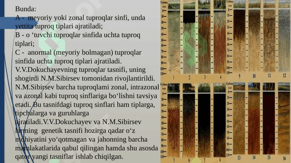 Tuproqlarning tasnifi va unumdorligi 5