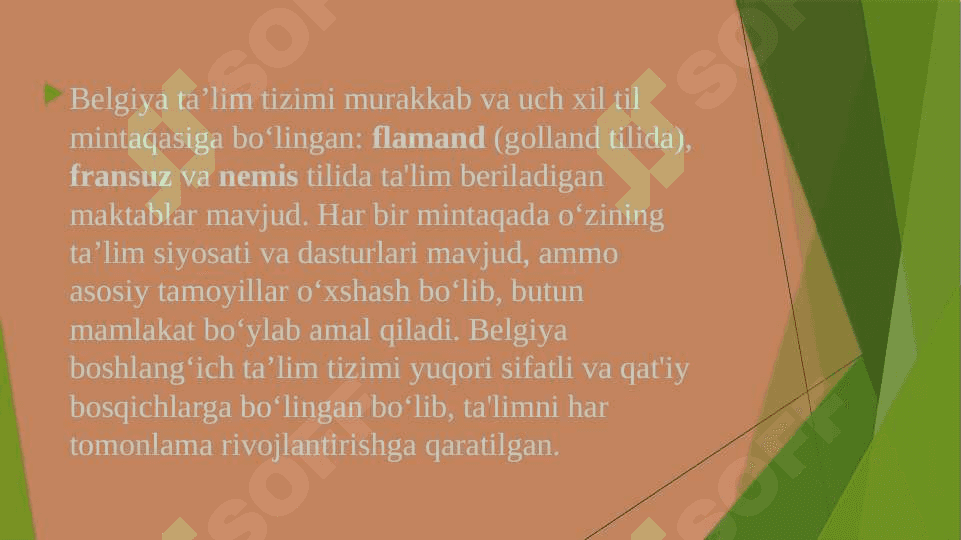 Belgiya boshlang‘ich ta’lim tizimi. Ta’lim tizimi bosqichlari. Belgiya boshlang‘ich ta’lim tizimi. 2