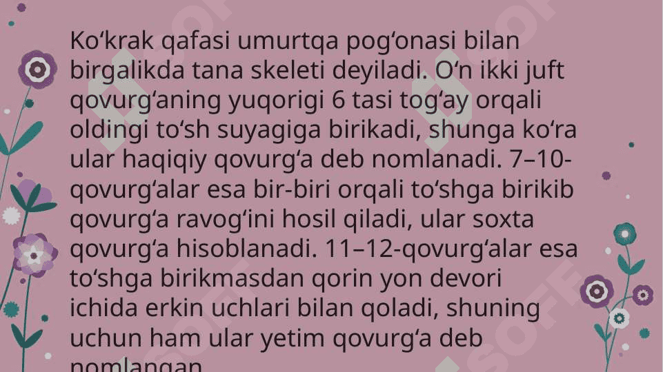 “Bo’g’im yuzalari va bo’g’im turlari” 8