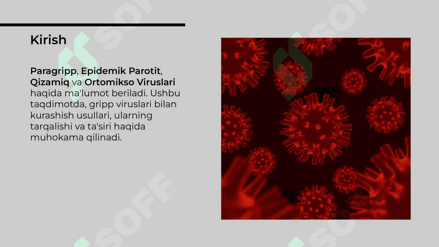 Paragripp, epidemik parotit, qizamiq, ortomikso viruslar, gripp viruslari 2