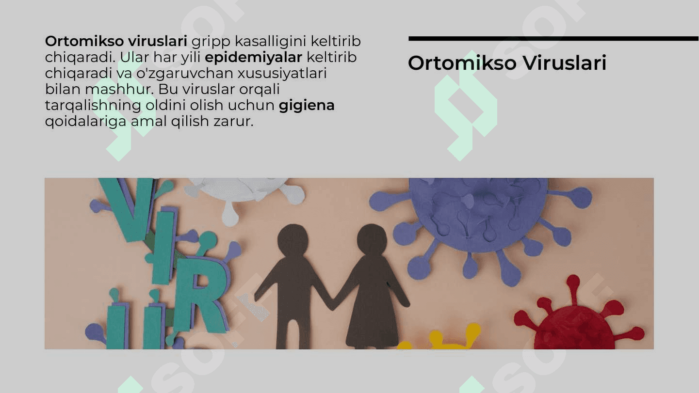 Paragripp, epidemik parotit, qizamiq, ortomikso viruslar, gripp viruslari 7