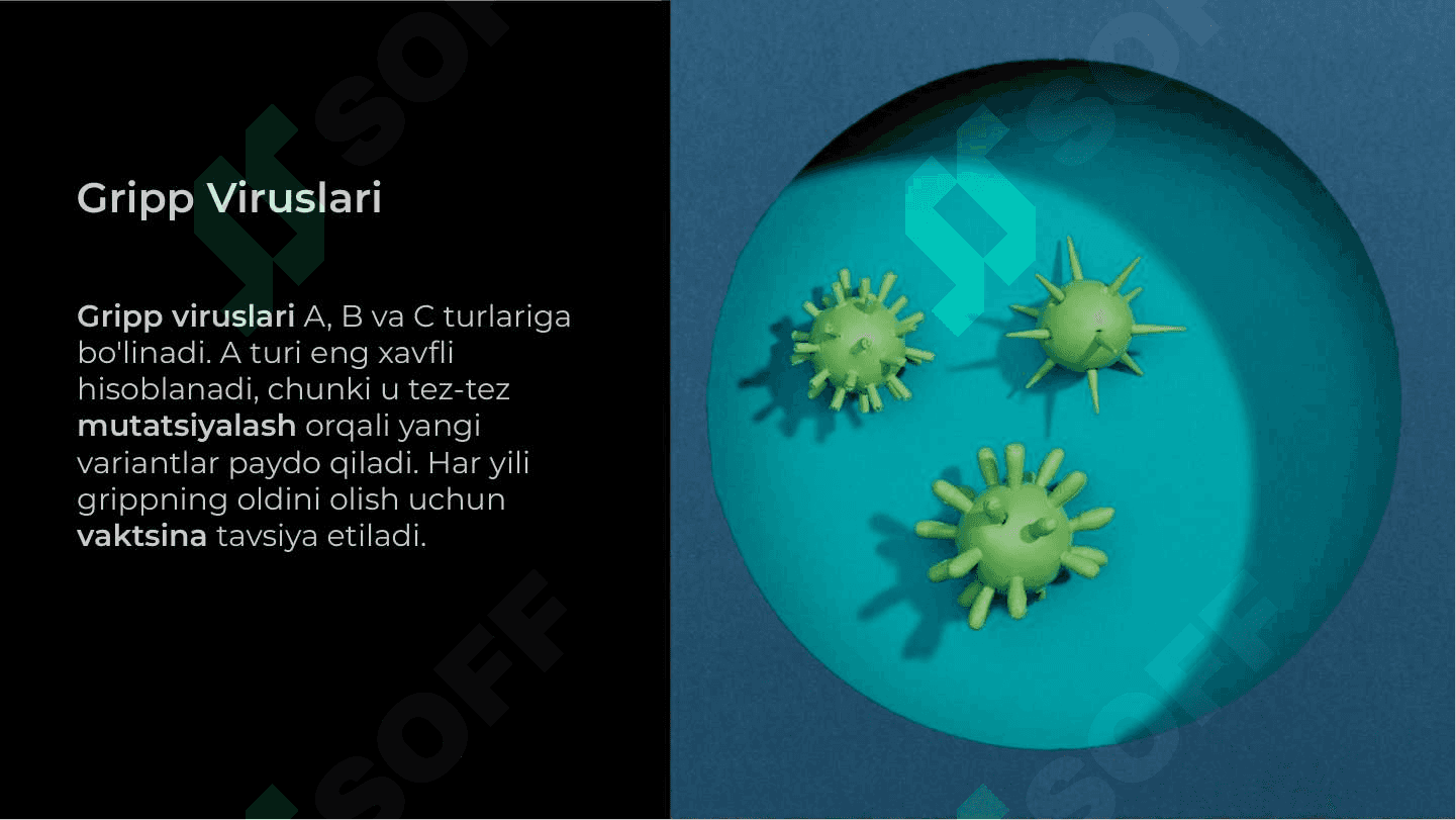 Paragripp, epidemik parotit, qizamiq, ortomikso viruslar, gripp viruslari 8