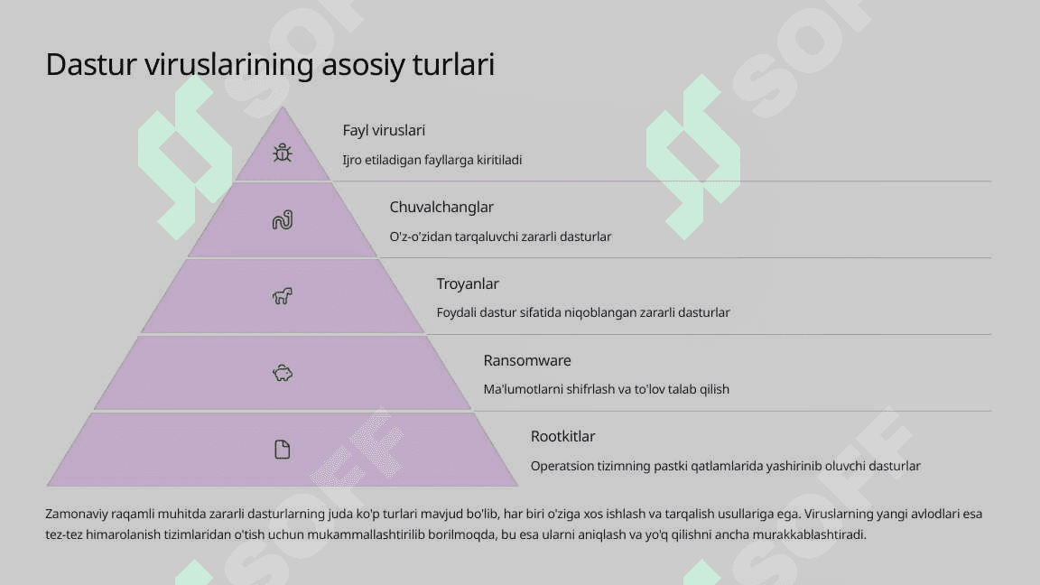 Dastur viruslarining xarakteristikasi 4