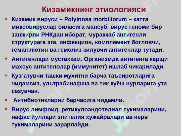 qizamiq 5