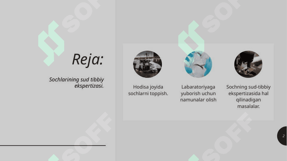 Sochlarining sud tibbiy ekspertizasi 2