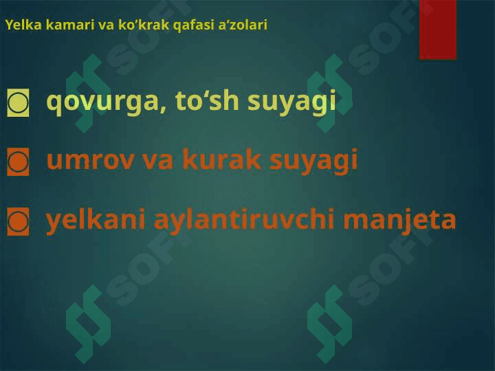 Yelka kamari va qo'l jarohatlari 2