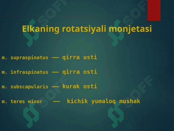 Yelka kamari va qo'l jarohatlari 7