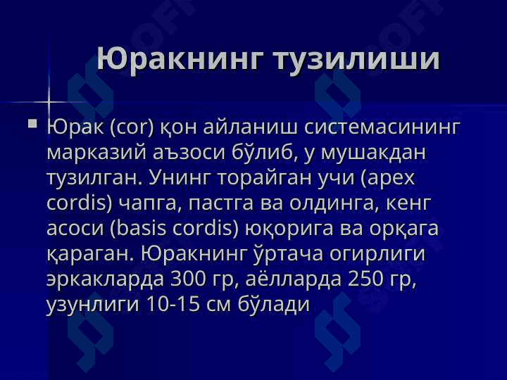 Yurak va qon aylanish doiralari 3